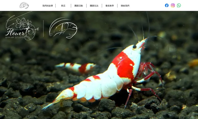 123 Shrimp Studio