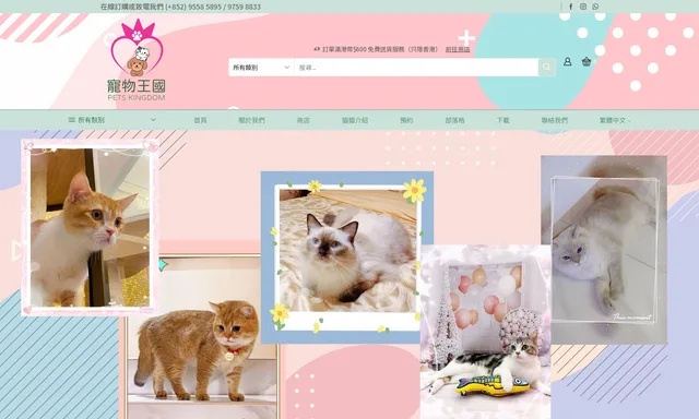 Pets Kingdom