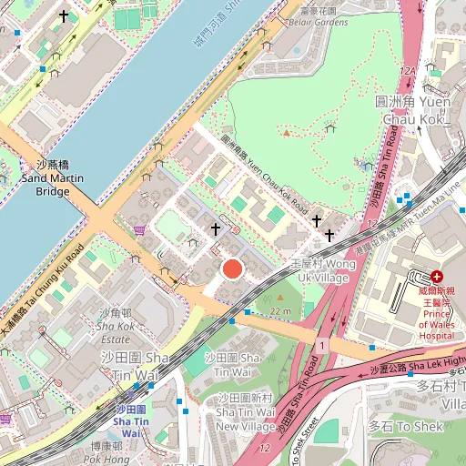 Shatin Wai Pet Clinic位置地圖
