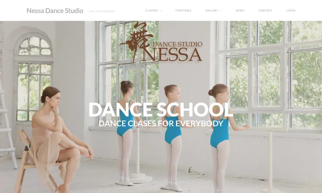 Nessa Dance Studio
