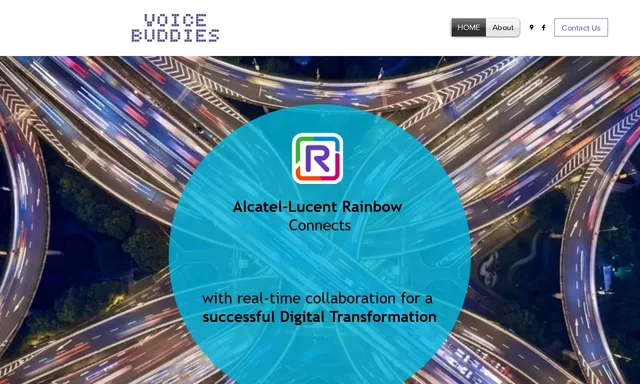 Voice Buddies Solutions