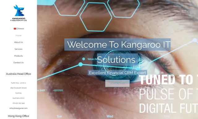 Kangaroo IT Solutions