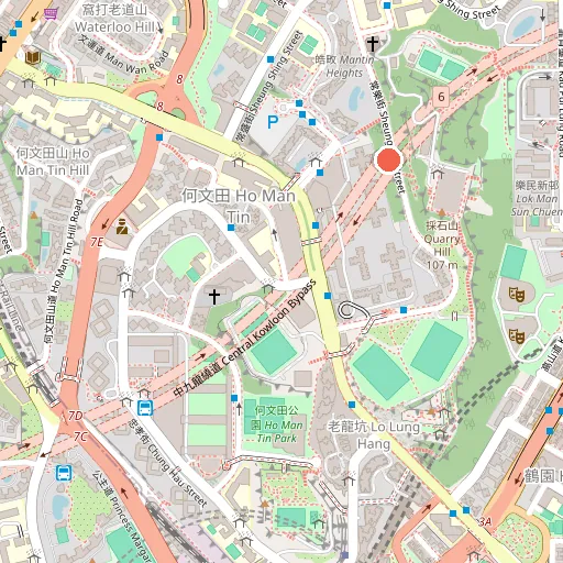 天光道板球場