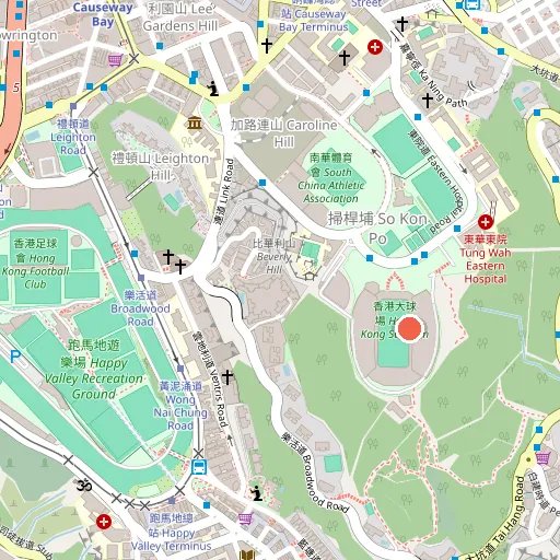 香港大球場