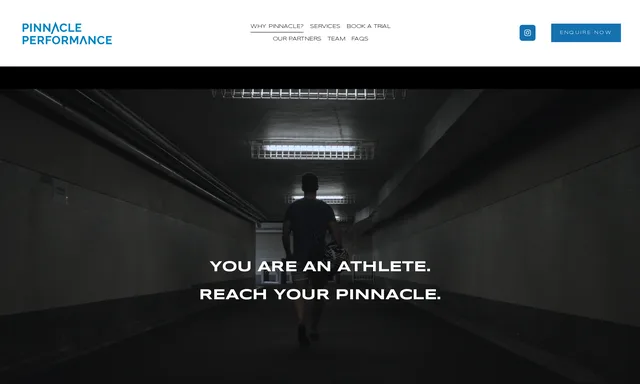 Pinnacle Performance