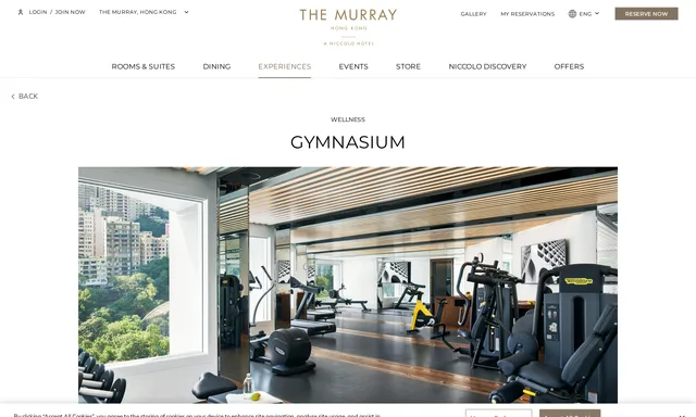 Gymnasium