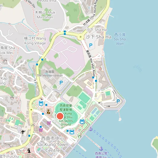 Sai Kung Tang Shiu Kin Sports Ground位置地圖