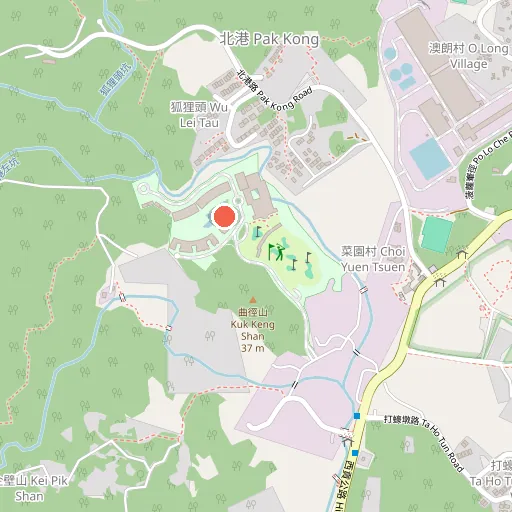 Bruguera Tennis Academy HK