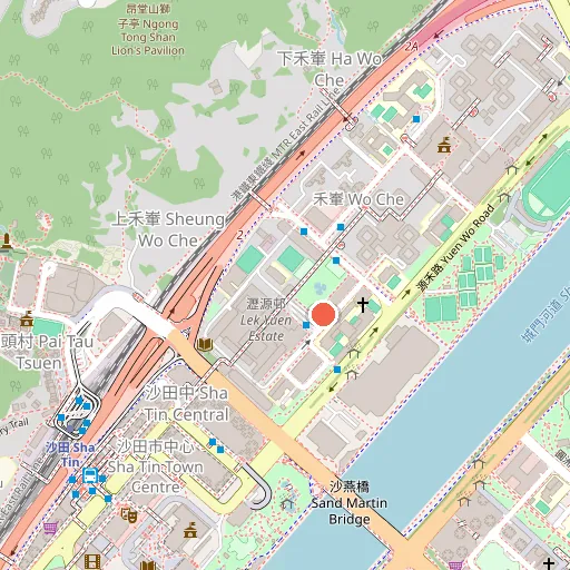Sha Tin Sports Association