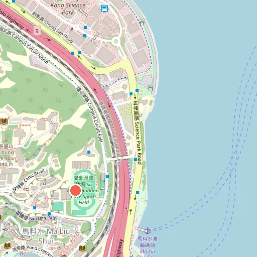 香港中文大學夏鼎基球場