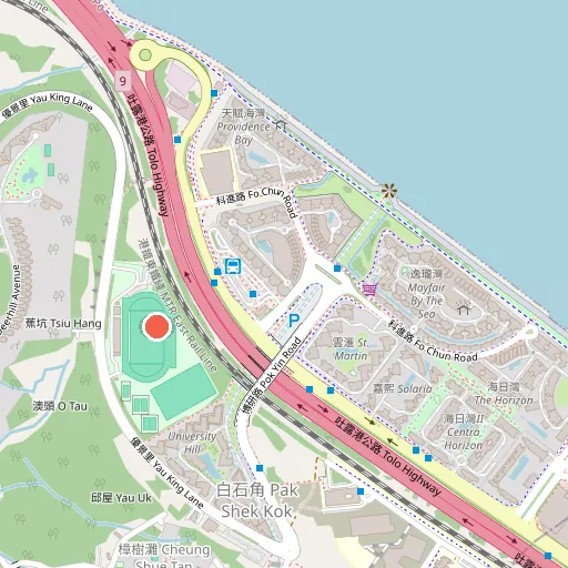 香港教育大學白石角運動場