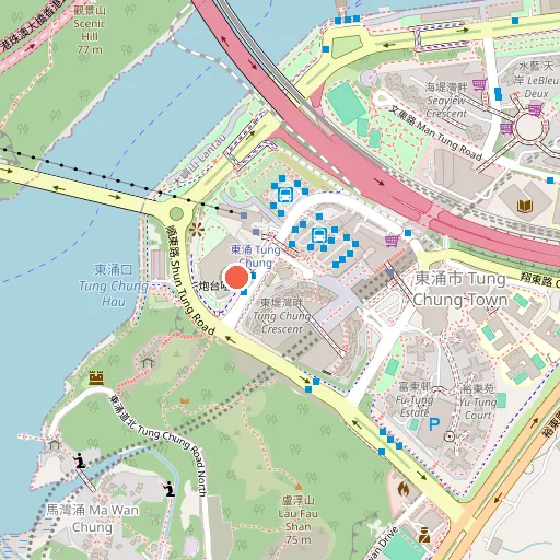 Tung Chung Swimming Club