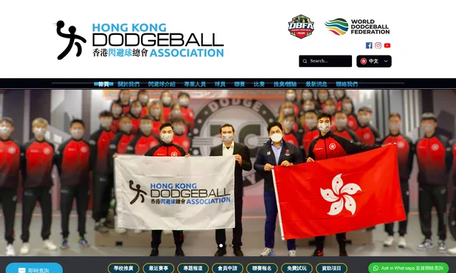 Hong Kong Dodgeball Association 香港閃避球總會