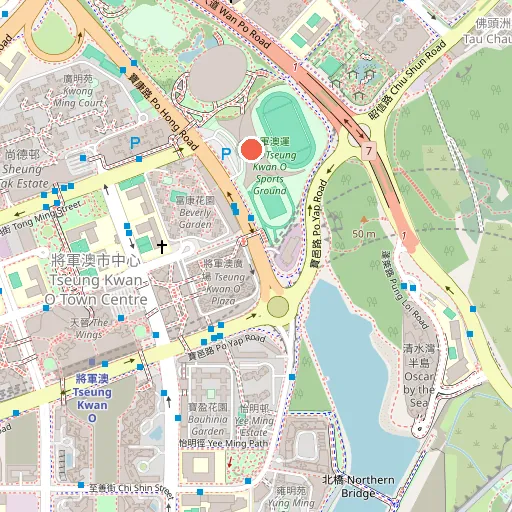 將軍澳運動場