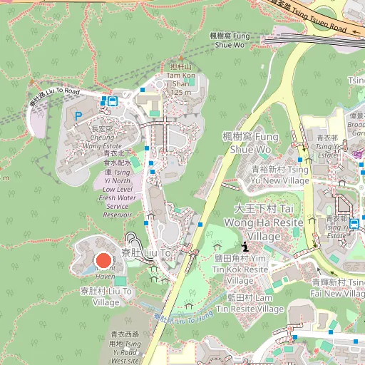 長亨籃球場 Cheung Hang Basketball Court位置地圖