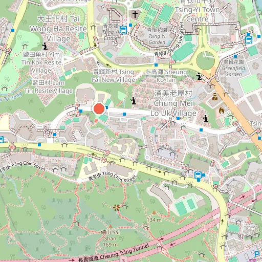 剛柔流空手道正心舘 莊鉅賢師父的空手道義教班
