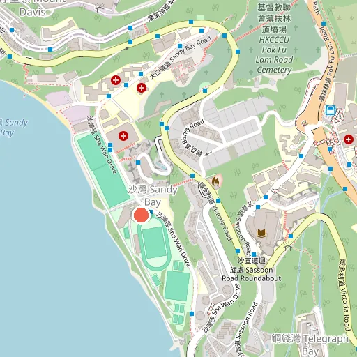 香港大學何鴻燊體育中心
