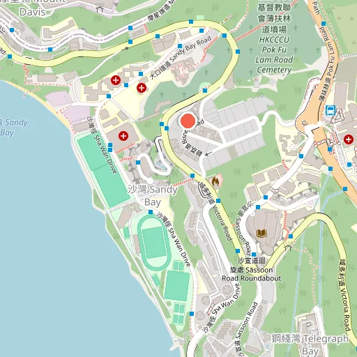 域多利花園 私人泳池