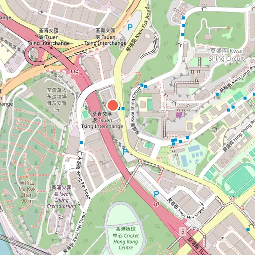 Hong Kong China Schools Dodgeball Federation