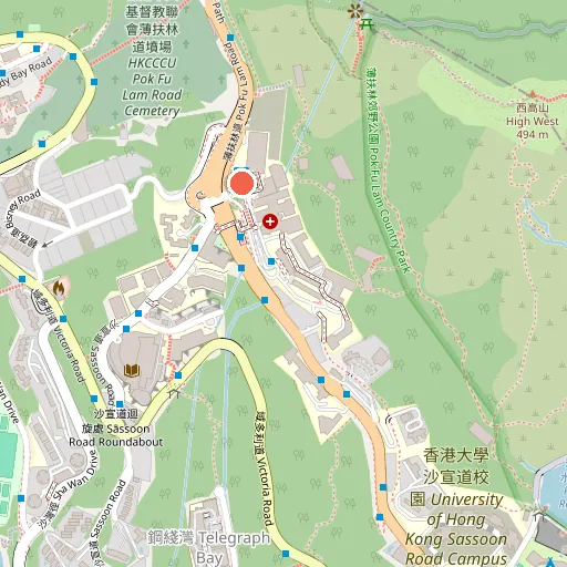 HKU - QMH Gyn Oncology Centre 香港大學瑪麗醫院婦科腫瘤中心