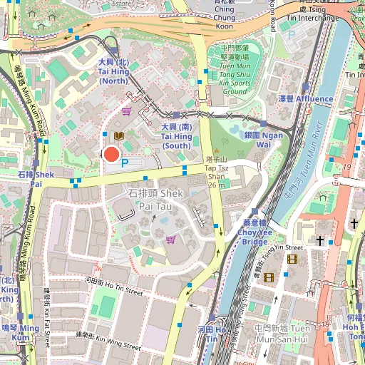 寶興（大興）護老中心有限公司