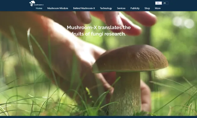 Arctic Mushroom Ltd