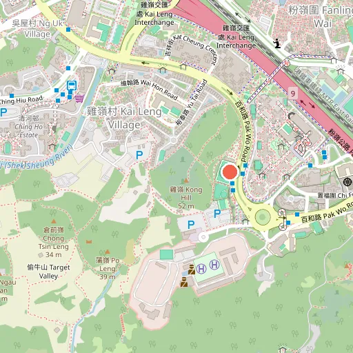 Pak Wo Road Playground