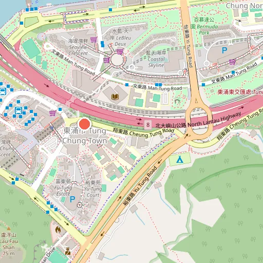 東涌 翔東路口 露天停車場