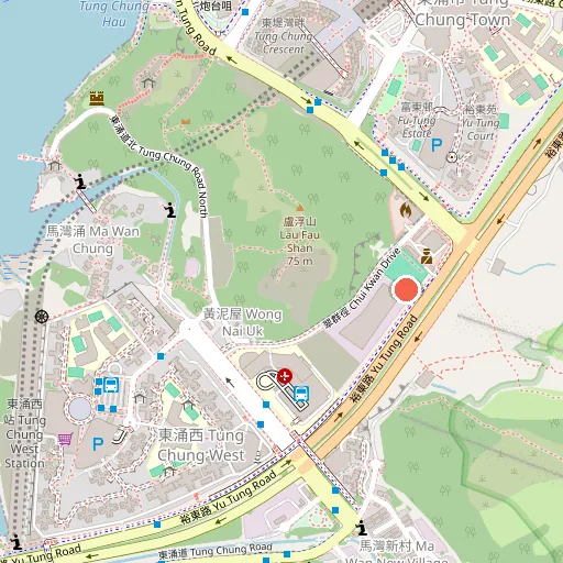 安東街臨時遊樂場