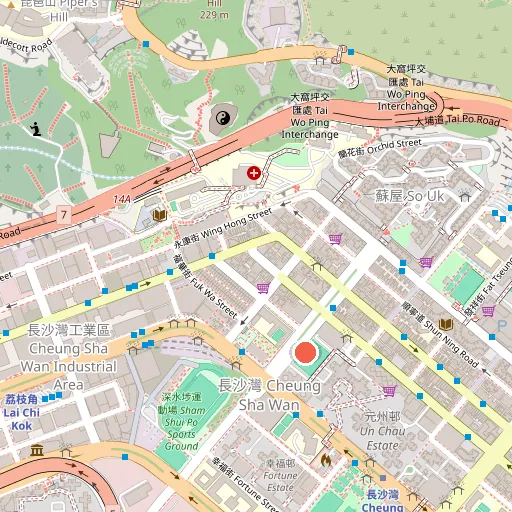 興華街遊樂場