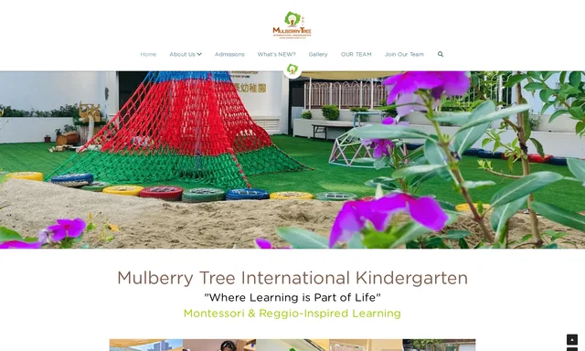 Mulberry Tree International Kindergarten