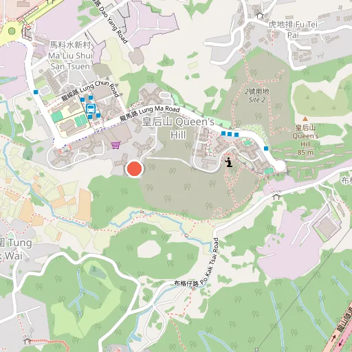Tung Wah Group of Hospitals Fong Shu Fuk Tung Kindergarten