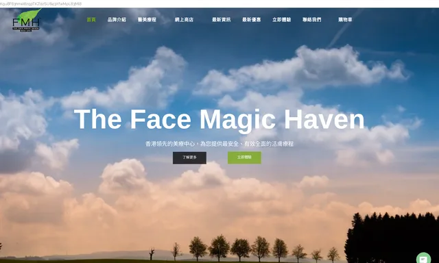 The Face Magic Haven