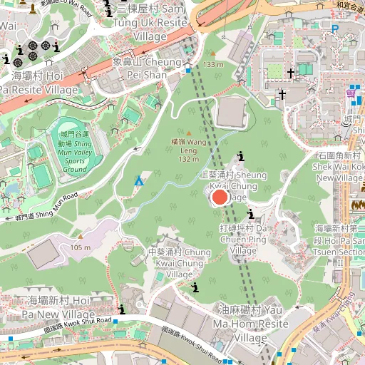 香港整脊骨傷科中心